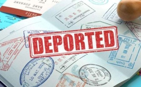 Bu ilin ilk rübündə Aİ ölkələrindən 692 Gürcüstan vətəndaşı deportasiya edilib