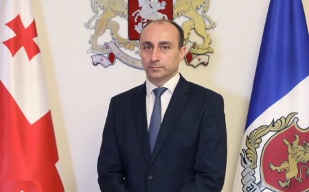 Geka Geladze Gürcüstan DTX-nin rəhbəri vəzifəsini icra edəcək