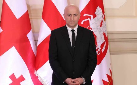 Sulxan Tamazaşvili Gürcüstanın daxili işlər naziri təyin edilib