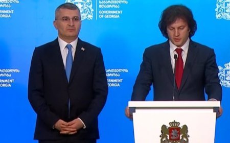 Gürcüstan hökumətində yeni vəzifə yaradılır