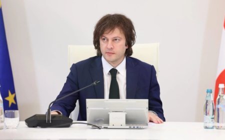 Gürcüstanda baş nazir müavinlərinin sayı üçə çatdırılır