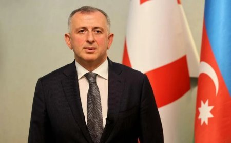 Gürcüstan prezidenti Azərbaycandakı səfiri Acarıstan hökumətinin sədri vəzifəsinə namizəd irəli sürüb
