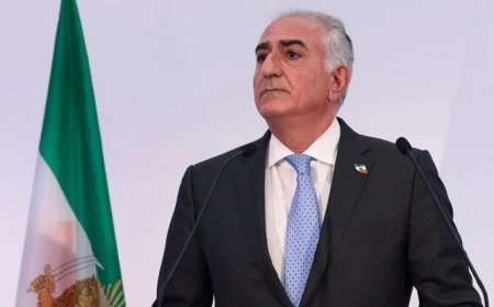 Pəhləvinin başına Berlində boya tökdülər - Video