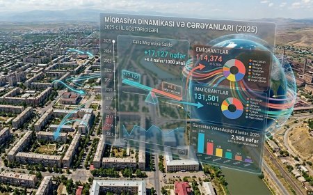 Gürcüstanda emiqrantların və immiqrantların sayı açıqlanıb