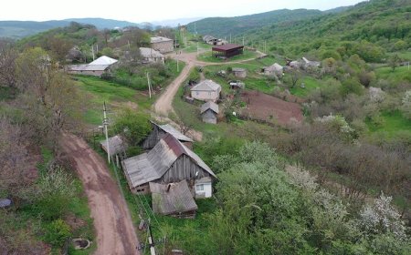 Ermənistan bu kəndi Gürcüstana verir?