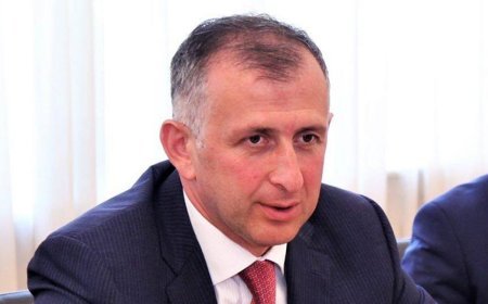 Gürcüstanın Azərbaycandakı keçmiş səfiri Acarıstan hökumətinin başçısı olub