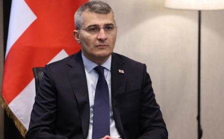 Gürcüstan parlamenti Mamuka Mdinaradzenin dövlət naziri postuna təyinatını təsdiqləyib