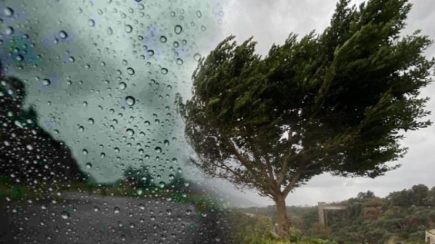 Gürcüstan Milli Ətraf Mühit Agentliyindən XƏBƏRDARLIQ: Güclü külək və yağıntı gözlənilir