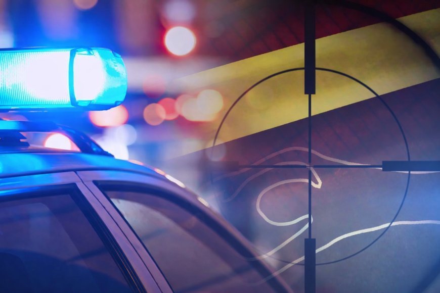 Marneulidə 20 yaşlı gənci qətlə yetirən şəxsə qarşı rəsmi ittiham irəli sürülüb