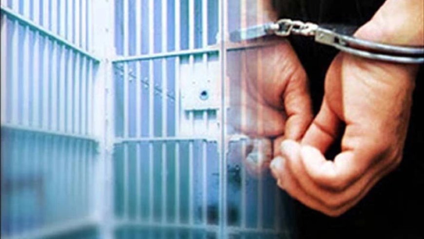 Gürcüstanda şəxsi həyatın toxunulmazlığını pozan şəxs saxlanılıb