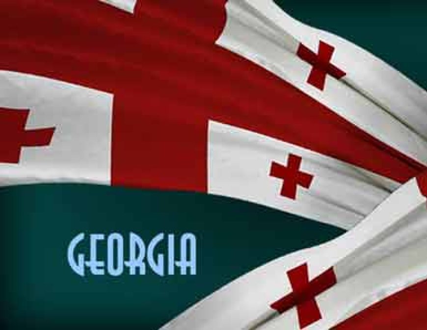 Gürcüstanda bəzi əcnəbilərdən iş və yaşayış izni tələb olunmayacaq