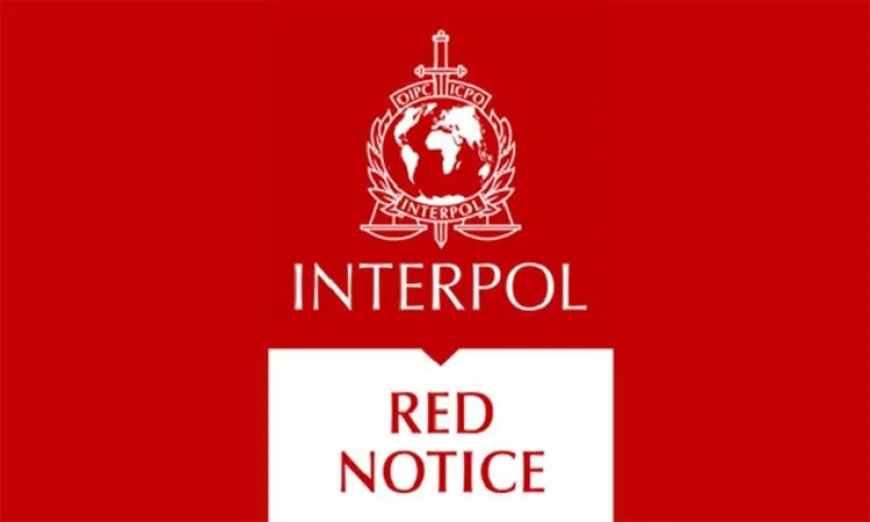 Batumidə İnterpol tərəfindən axtarılan iki xarici vətəndaş saxlanılıb