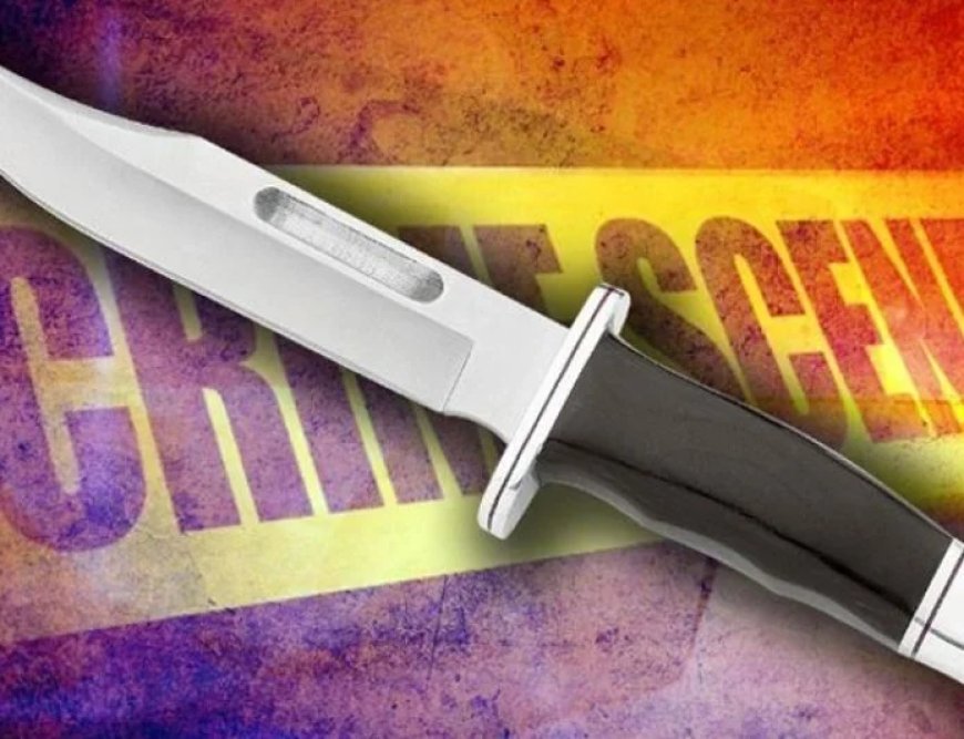 Tbilisidə parkda bıçaqlanma