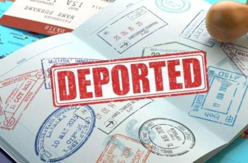 Bu ilin ilk rübündə Aİ ölkələrindən 692 Gürcüstan vətəndaşı deportasiya edilib