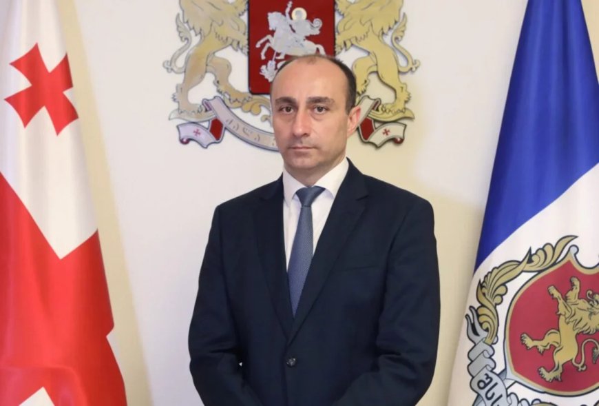 Geka Geladze Gürcüstan DTX-nin rəhbəri vəzifəsini icra edəcək