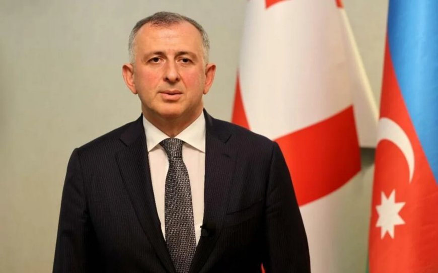 Gürcüstan prezidenti Azərbaycandakı səfiri Acarıstan hökumətinin sədri vəzifəsinə namizəd irəli sürüb