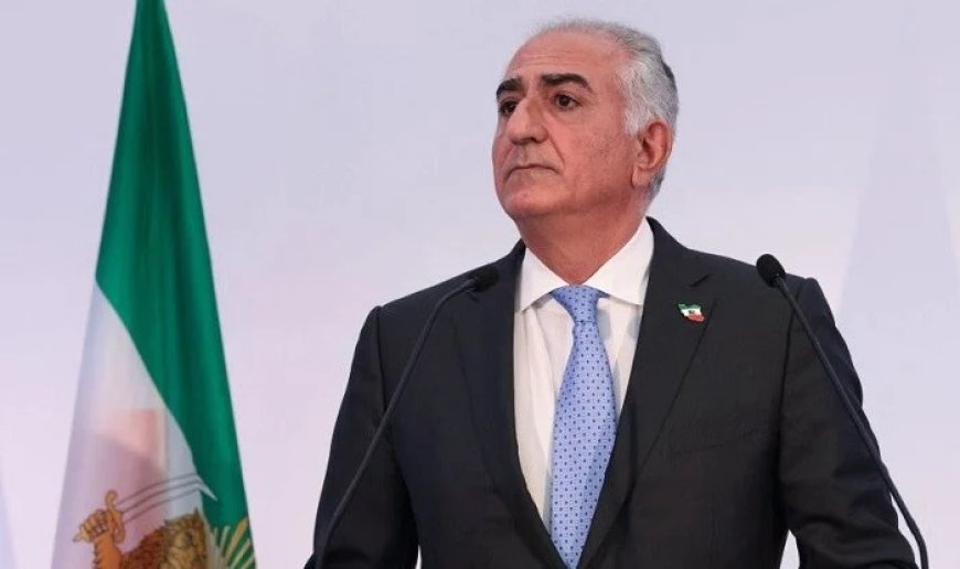 Pəhləvinin başına Berlində boya tökdülər - Video