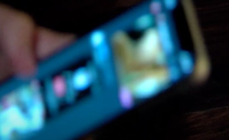 Gürcüstanda şəxsi həyatın toxunulmazlığını pozan iki nəfər saxlanılıb