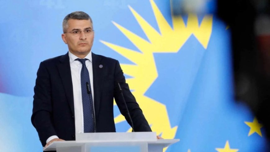 Gürcüstanda yeni yaradılan dövlət naziri vəzifəsinin səlahiyyətləri məlum olub