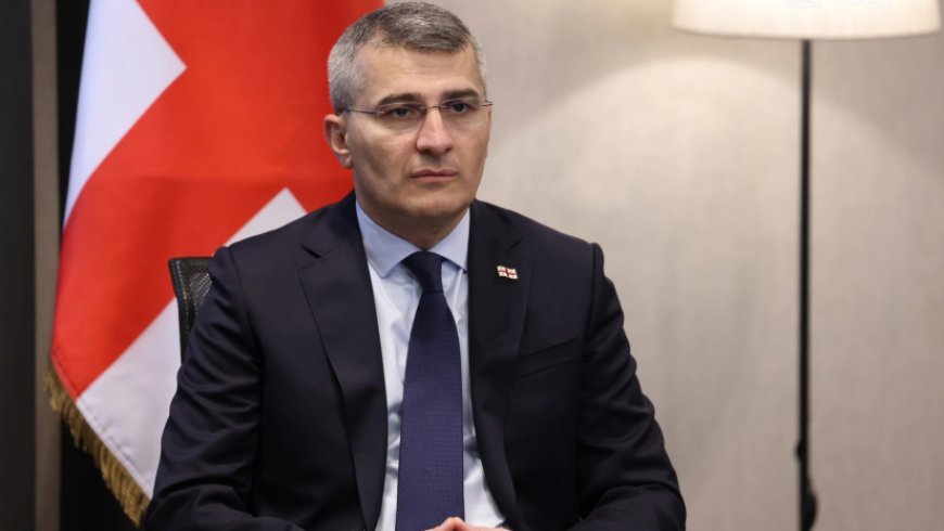 Gürcüstan parlamenti Mamuka Mdinaradzenin dövlət naziri postuna təyinatını təsdiqləyib