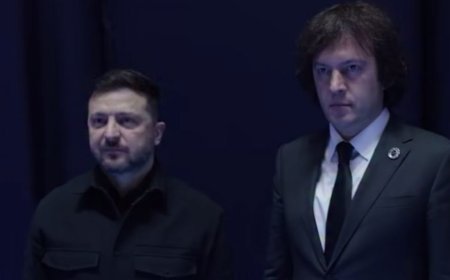 Kobaxidze ilə Zelenski görüşdü