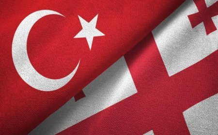 Gürcüstan və Türkiyə arasında iqtisadi əməkdaşlıq genişləndirilir