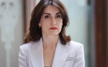 Gürcüstan Ukrayna ilə səfirlərin qayıtmasını müzakirə edib