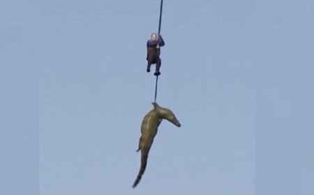 İtkin düşən iş adamı nəhəng timsahın mədəsində “tapıldı” - Video