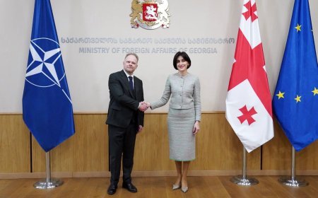 Hamilton ilə Boçorişvili NATO və Gürcüstan arasında əməkdaşlığın inkişafını müzakirə ediblər