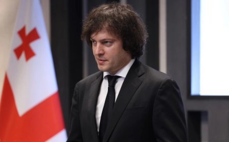Gürcüstanda Diplomatiya Akademiyası yaradılır