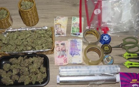 Gürcüstan polisi beynəlxalq narkotik şəbəkəsini çökdürüb