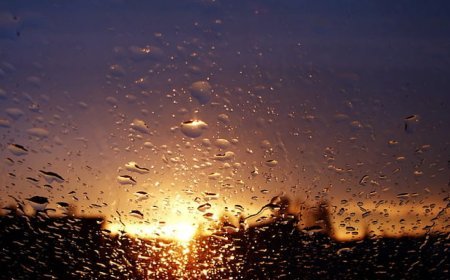 Gürcüstanda 12-14 may tarixləri üçün hava proqnozu açıqlanıb