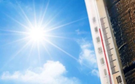 Gürcüstanda temperatur 29 dərəcəyədək yüksələcək