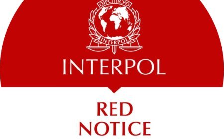 Batumidə İnterpol tərəfindən axtarılan iki Türkiyə vətəndaşı saxlanılıb