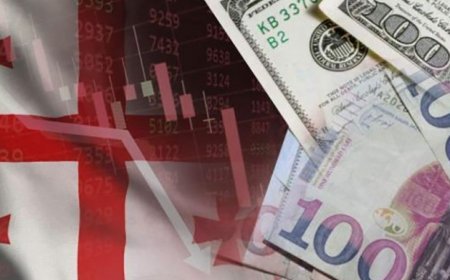Gürcüstanın dövlət borcu 9,2 milyard dollara çatıb