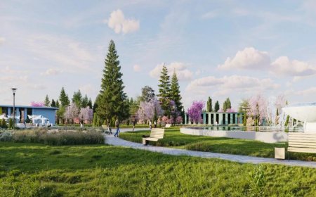 Rustavidə yeni müasir park salınacaq