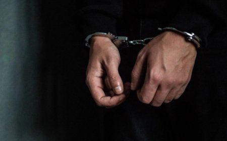 Tsotne Qamsaxurdiyanın həyat yoldaşını təqib edən şəxs yenidən həbs olundu