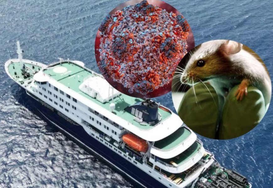 Daha bir gəmidə virus aşkarlandı - Sərnişinlər təxliyə olundu