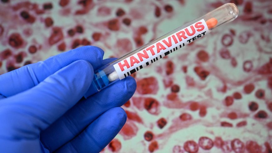 Hantavirus COVID-19-dan təhlükəlidir?
