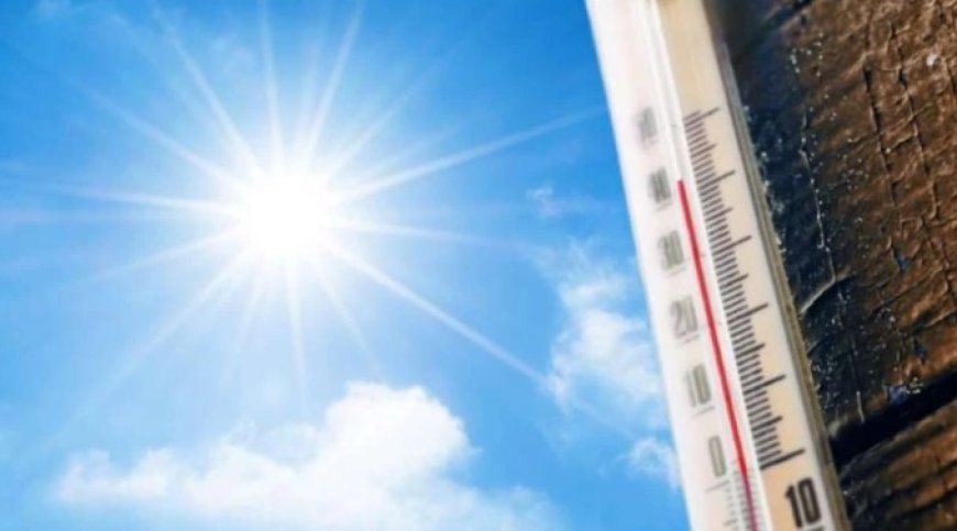 Gürcüstanda temperatur 29 dərəcəyədək yüksələcək