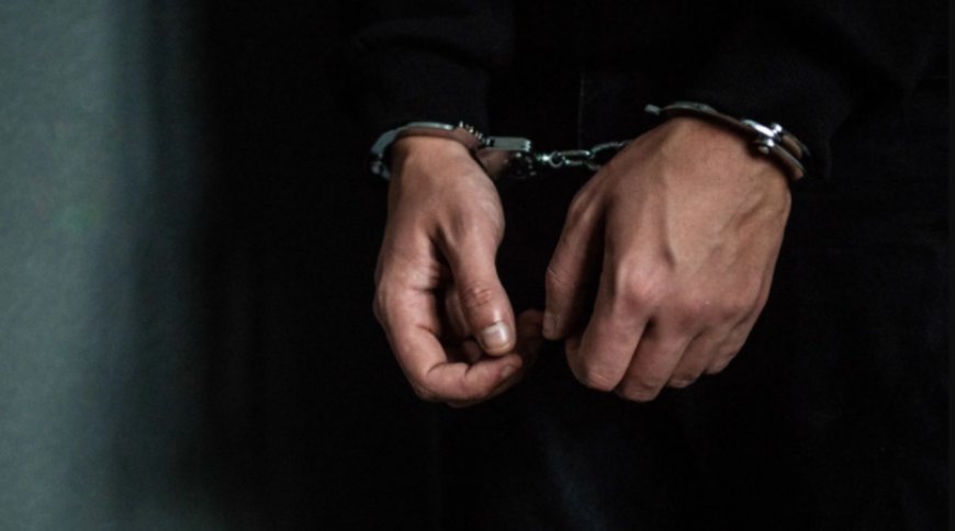 Tsotne Qamsaxurdiyanın həyat yoldaşını təqib edən şəxs yenidən həbs olundu