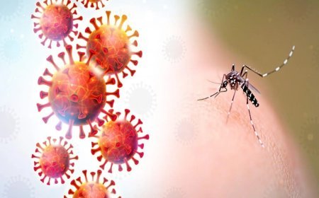 Gürcüstanda təhlükəli virus aşkarlanıb