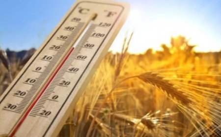 Gürcüstanda biraylıq HAVA PROQNOZU