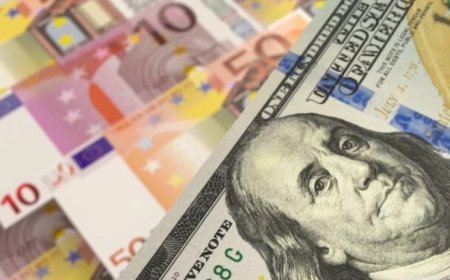 9 İyun xarici valyutaların məzənnələri