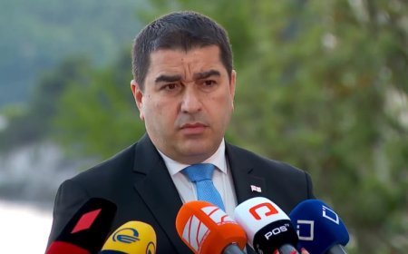 Tbilisidən Avropaya irad: İrəvanda baş verənlərə niyə susursunuz?