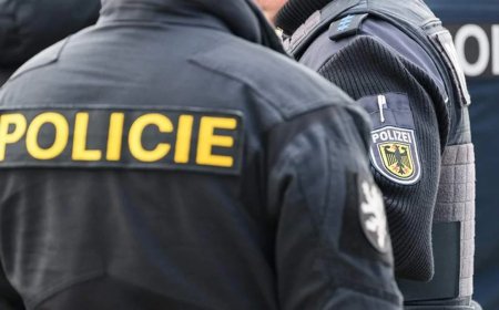 Çexiyada ana yenidoğulmuş körpəsini itlərə yedirdib