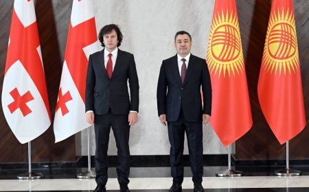 Sadır Japarov və İrakli Kobaxidze birbaşa aviareyslərın açılmasını müzakirə ediblər