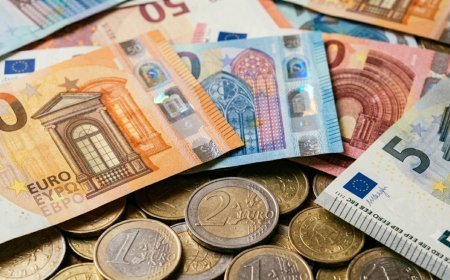 17 İyun xarici valyutaların məzənnələri