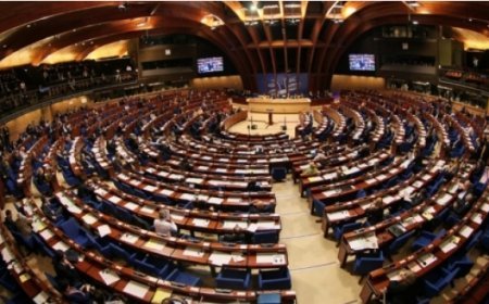 AŞPA Gürcüstanda demokratik geriləmənin qabardıldığı qətnamə qəbul edib