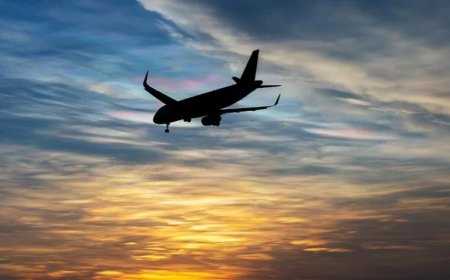 Gürcüstanda gələn il Telavi və Vaziani aeroportlarının tikintisinə başlanılacaq
